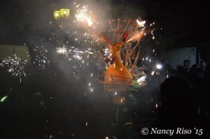 festa immacolata nicotera 2015 (52)